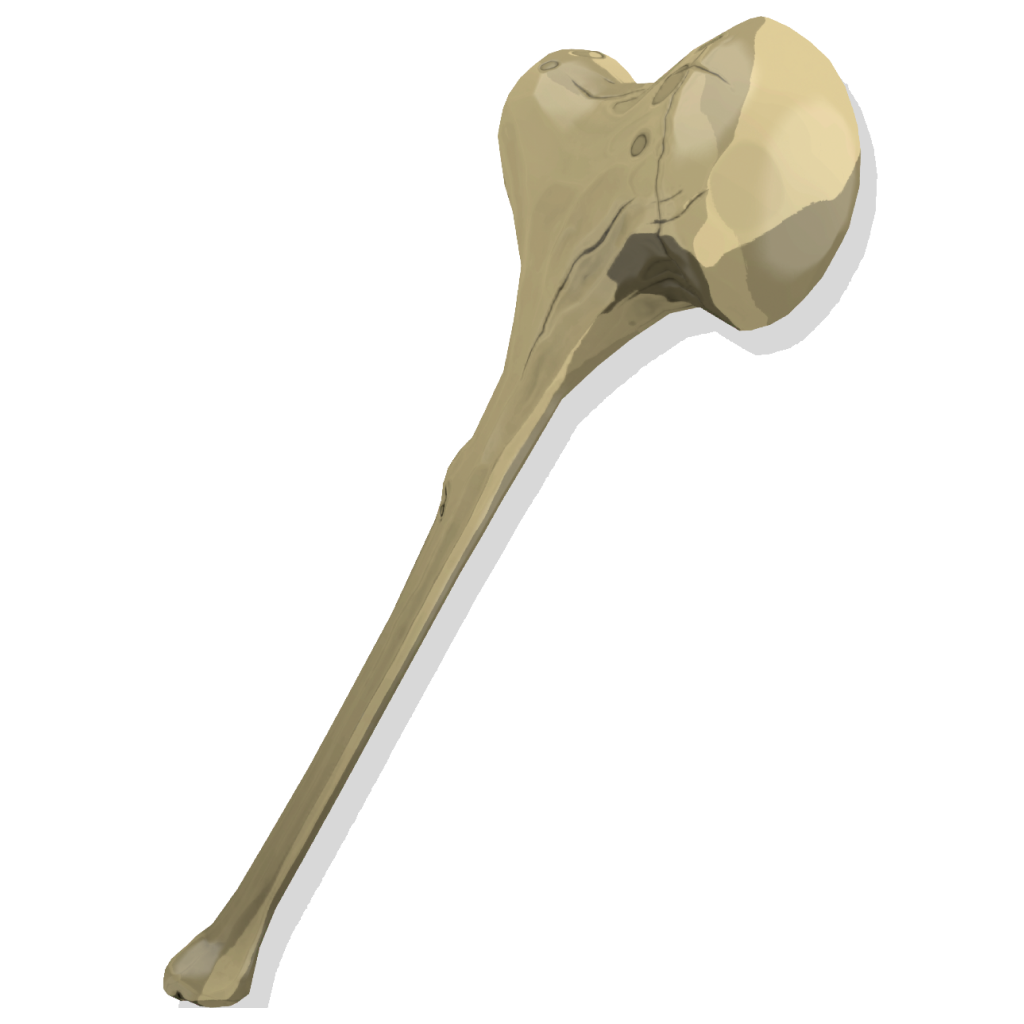 Hatchling Hammer I