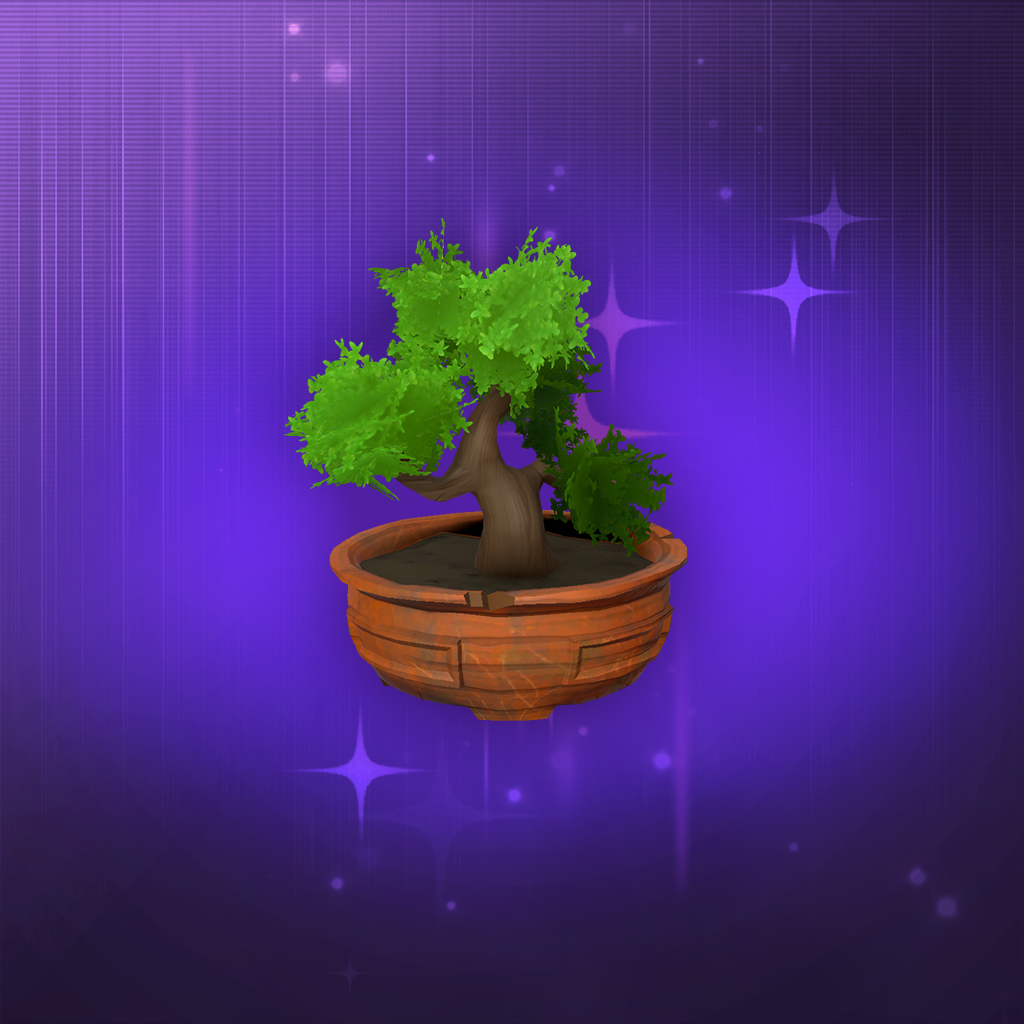 Bonsai Tree