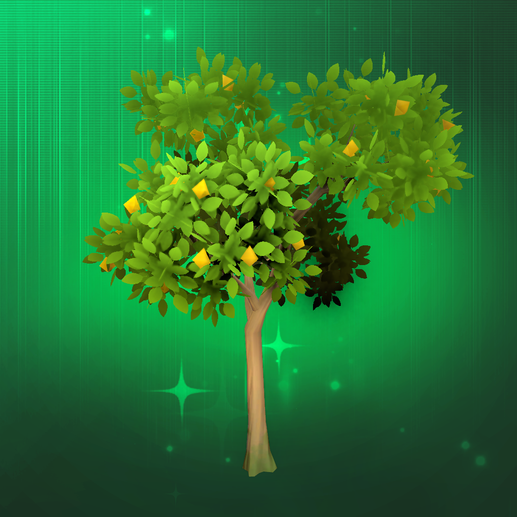 Medium Pear Tree