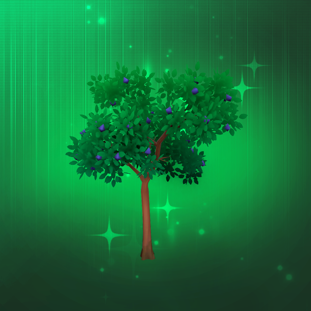 Medium Plum Tree
